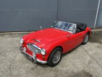 Austin Healey 3000 MKIII - <small></small> 55.000 € <small>TTC</small> - #7