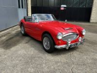 Austin Healey 3000 MKIII - <small></small> 55.000 € <small>TTC</small> - #8