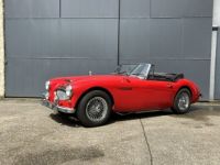 Austin Healey 3000 MKIII - <small></small> 55.000 € <small>TTC</small> - #9