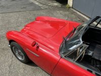 Austin Healey 3000 MKIII - <small></small> 55.000 € <small>TTC</small> - #10