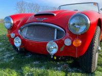 Austin Healey 3000 MKIII - BJ8 - 1967 - <small></small> 85.000 € <small>TTC</small> - #3