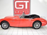 Austin Healey 3000 MKIII BJ8 Phase 1 - <small></small> 69.900 € <small>TTC</small> - #5
