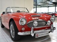 Austin Healey 3000 MKIII BJ8 Phase 1 - <small></small> 69.900 € <small>TTC</small> - #12