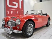 Austin Healey 3000 MKIII BJ8 Phase 1 - <small></small> 69.900 € <small>TTC</small> - #14