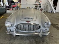 Austin Healey 3000 Roadster  - <small></small> 32.000 € <small>TTC</small> - #2