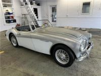 Austin Healey 3000 Roadster  - <small></small> 32.000 € <small>TTC</small> - #4