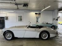 Austin Healey 3000 Roadster  - <small></small> 32.000 € <small>TTC</small> - #5