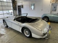 Austin Healey 3000 Roadster  - <small></small> 32.000 € <small>TTC</small> - #6