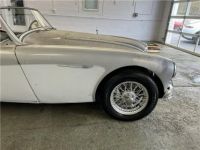 Austin Healey 3000 Roadster  - <small></small> 32.000 € <small>TTC</small> - #9