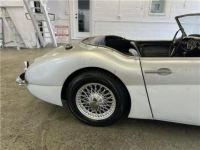 Austin Healey 3000 Roadster  - <small></small> 32.000 € <small>TTC</small> - #10