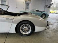 Austin Healey 3000 Roadster  - <small></small> 32.000 € <small>TTC</small> - #12