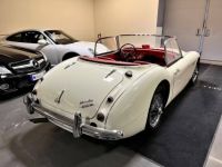 Austin Healey 3000 ROADSTER BT7 MK I 2.9 - <small></small> 60.000 € <small>TTC</small> - #4