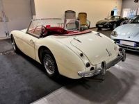 Austin Healey 3000 ROADSTER BT7 MK I 2.9 - <small></small> 60.000 € <small>TTC</small> - #5