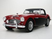 Austin Healey 3000 SYLC EXPORT - <small></small> 49.900 € <small>TTC</small> - #6