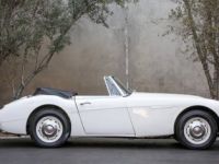 Austin Healey 3000 SYLC EXPORT - <small></small> 43.000 € <small>TTC</small> - #3