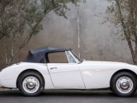 Austin Healey 3000 SYLC EXPORT - <small></small> 43.000 € <small>TTC</small> - #5