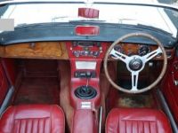 Austin Healey 3000 SYLC EXPORT - <small></small> 43.000 € <small>TTC</small> - #6