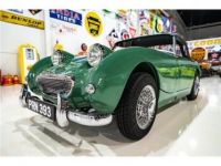 Austin Healey Sprite - <small></small> 41.000 € <small>TTC</small> - #1