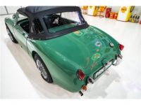 Austin Healey Sprite - <small></small> 41.000 € <small>TTC</small> - #11