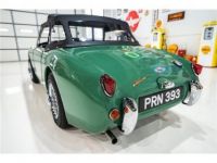 Austin Healey Sprite - <small></small> 41.000 € <small>TTC</small> - #13