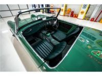 Austin Healey Sprite - <small></small> 41.000 € <small>TTC</small> - #20