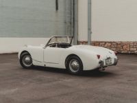 Austin Healey Sprite - <small></small> 26.000 € <small>TTC</small> - #14