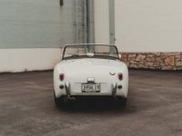 Austin Healey Sprite - <small></small> 26.000 € <small>TTC</small> - #15