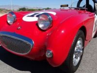 Austin Healey Sprite - <small></small> 30.800 € <small>TTC</small> - #10