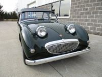 Austin Healey Sprite Bugeye  - <small></small> 31.300 € <small>TTC</small> - #6