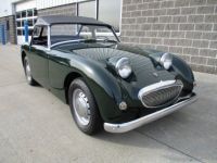 Austin Healey Sprite Bugeye  - <small></small> 31.300 € <small>TTC</small> - #13