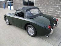 Austin Healey Sprite Bugeye  - <small></small> 31.300 € <small>TTC</small> - #28