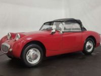 Austin Healey Sprite Frogeye - <small></small> 21.750 € <small>TTC</small> - #7