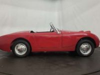 Austin Healey Sprite Frogeye - <small></small> 21.750 € <small>TTC</small> - #17