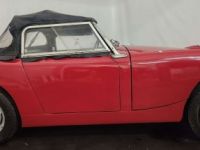 Austin Healey Sprite Frogeye - <small></small> 21.750 € <small>TTC</small> - #20