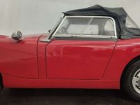 Austin Healey Sprite Frogeye - <small></small> 21.750 € <small>TTC</small> - #25