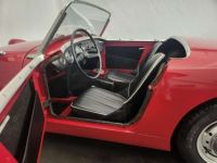 Austin Healey Sprite Frogeye - <small></small> 21.750 € <small>TTC</small> - #31