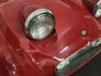 Austin Healey Sprite Frogeye - <small></small> 21.750 € <small>TTC</small> - #45