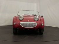 Austin Healey Sprite Frogeye MK1 - <small></small> 21.500 € <small>TTC</small> - #13