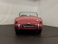 Austin Healey Sprite Frogeye MK1 - <small></small> 21.500 € <small>TTC</small> - #14