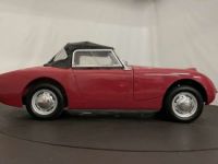 Austin Healey Sprite Frogeye MK1 - <small></small> 21.500 € <small>TTC</small> - #16