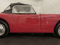 Austin Healey Sprite Frogeye MK1 - <small></small> 21.500 € <small>TTC</small> - #18