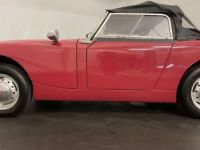 Austin Healey Sprite Frogeye MK1 - <small></small> 21.500 € <small>TTC</small> - #23