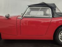 Austin Healey Sprite MK1 - <small></small> 21.750 € <small>TTC</small> - #19