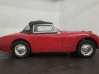 Austin Healey Sprite MK1 - <small></small> 21.750 € <small>TTC</small> - #25