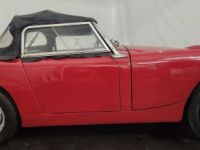 Austin Healey Sprite MK1 - <small></small> 21.750 € <small>TTC</small> - #27