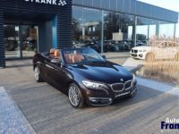 BMW Série 2 218 I CABRIO LUXURY NAVI H&K MEMORY LED - <small></small> 19.950 € <small>TTC</small> - #15