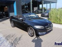 BMW Série 2 218 I CABRIO SPORTLINE NAVI XENON VERW ZETL - <small></small> 18.950 € <small>TTC</small> - #15