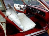 Buick ELECTRA - <small></small> 22.000 € <small>TTC</small> - #25