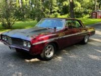 Buick SKYLARK - <small></small> 23.000 € <small>TTC</small> - #2