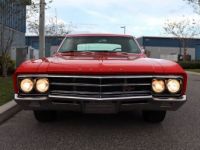 Buick SKYLARK - <small></small> 42.000 € <small>TTC</small> - #33